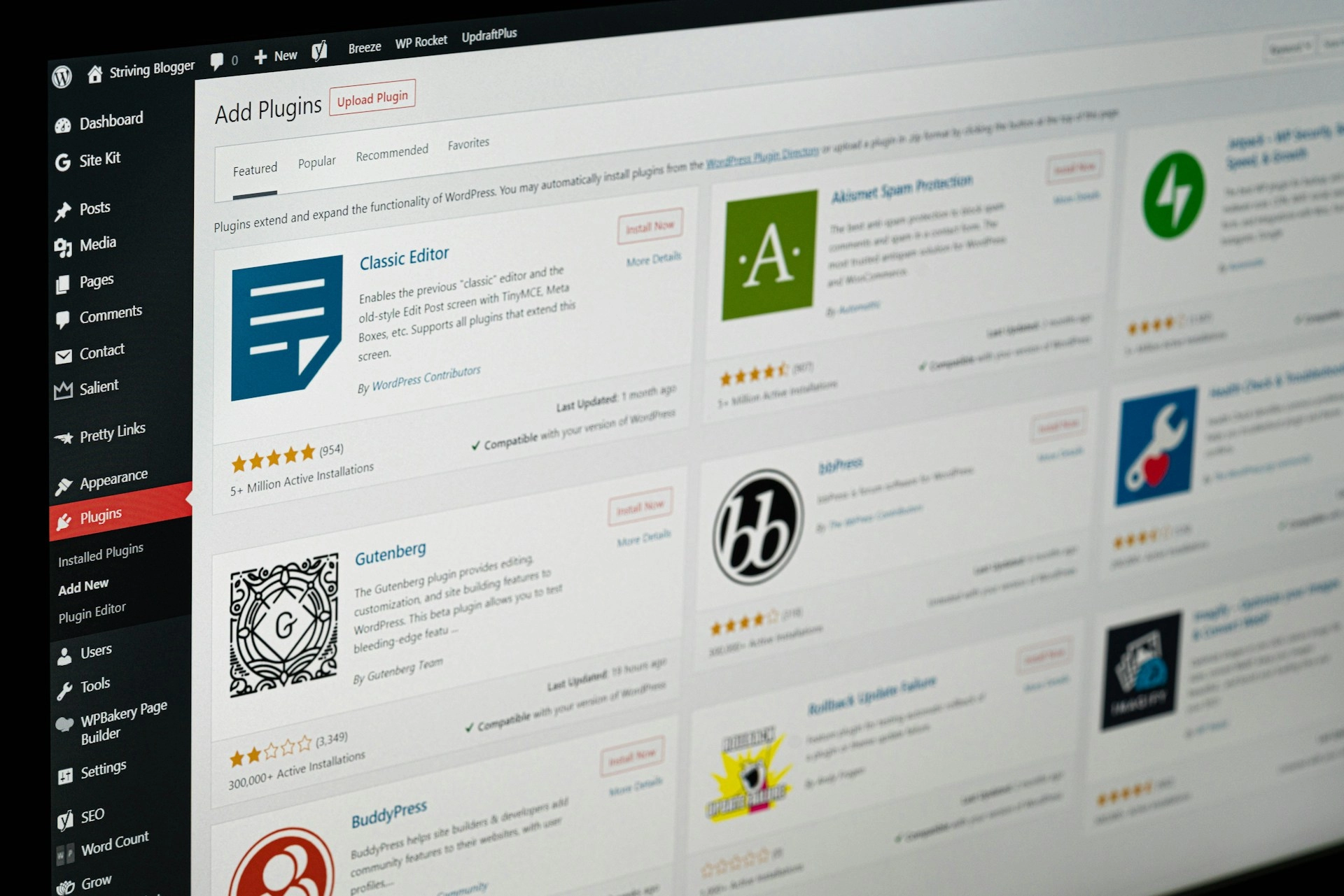  WORDPRESS DEVELOPMENT